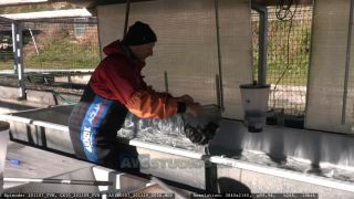 Link to Video | aquaculture, trout