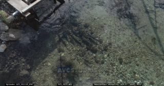 Link to Video