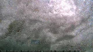 Link to Video