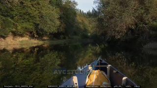 Link to Video