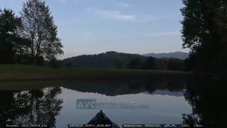 Link to Video