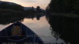 Link to Video