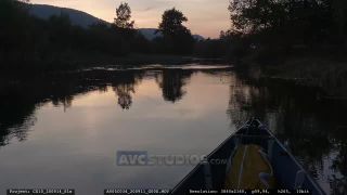 Link to Video
