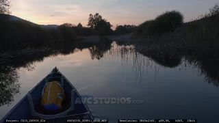 Link to Video