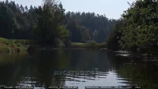 Link to Video
