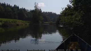 Link to Video