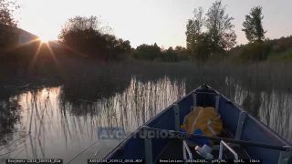 Link to Video