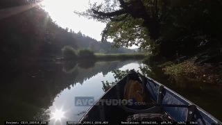 Link to Video