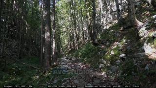 Link to Video