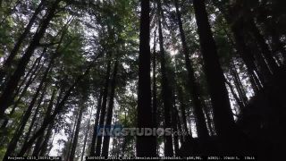 Link to Video