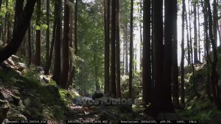 Link to Video