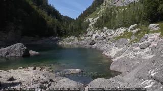 Link to Video