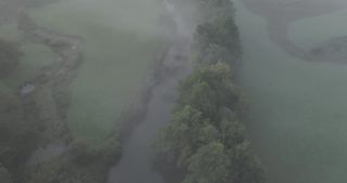 Link to Video
