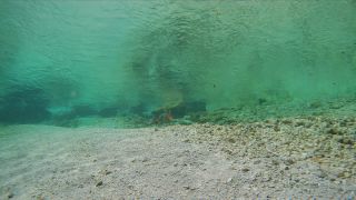 Link to Video