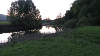 Link to Video