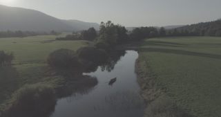 Link to Video