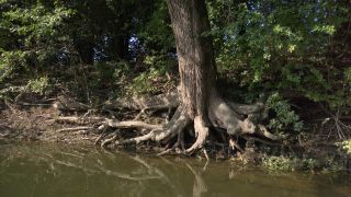 Link to Video