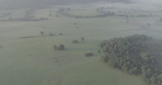 Link to Video