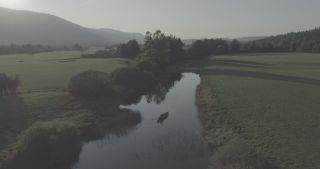 Link to Video