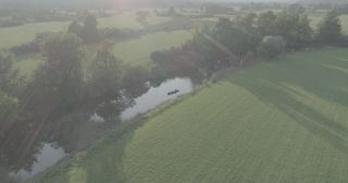 Link to Video