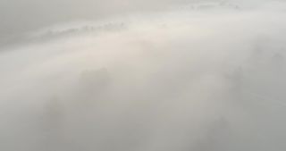 Link to Video