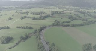 Link to Video