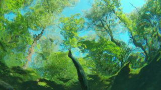 Link to Video