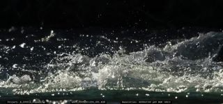 Link to Video