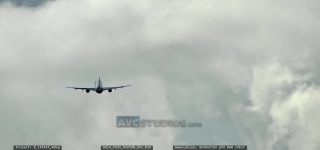 Link to Video