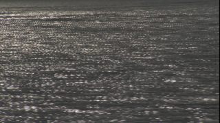 Link to Video
