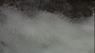 Link to Video