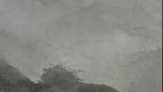 Link to Video