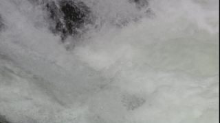 Link to Video