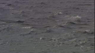 Link to Video