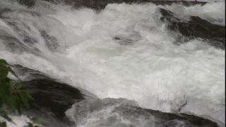 Link to Video