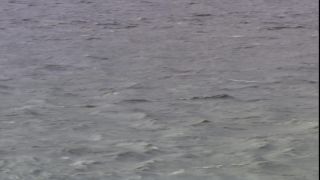 Link to Video