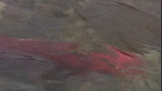 Link to Video