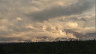 Link to Video