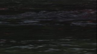 Link to Video