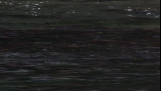 Link to Video
