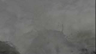 Link to Video