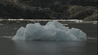 Link to Video