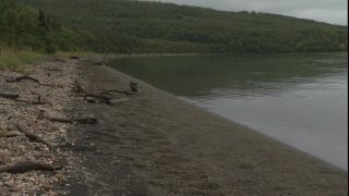 Link to Video