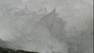 Link to Video