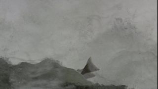 Link to Video