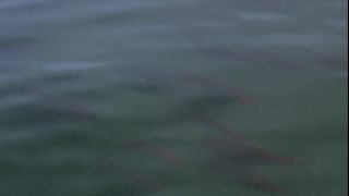 Link to Video