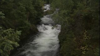 Link to Video