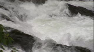Link to Video