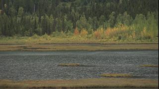 Link to Video