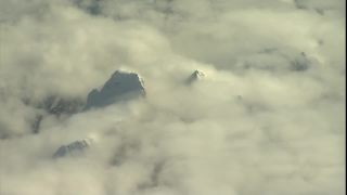 Link to Video